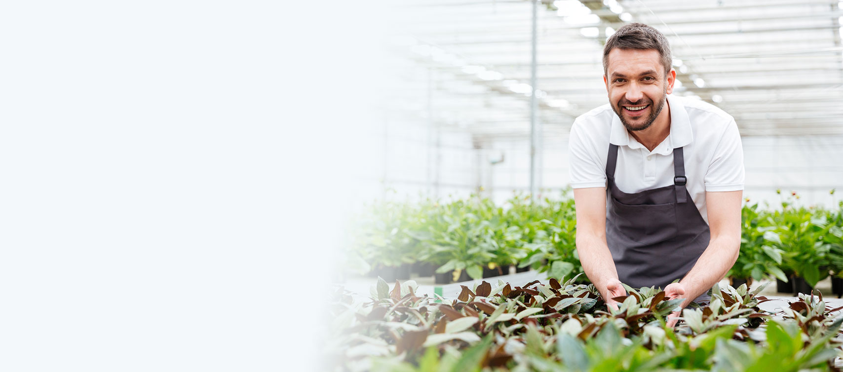 Un professionnel dans une serre horticole