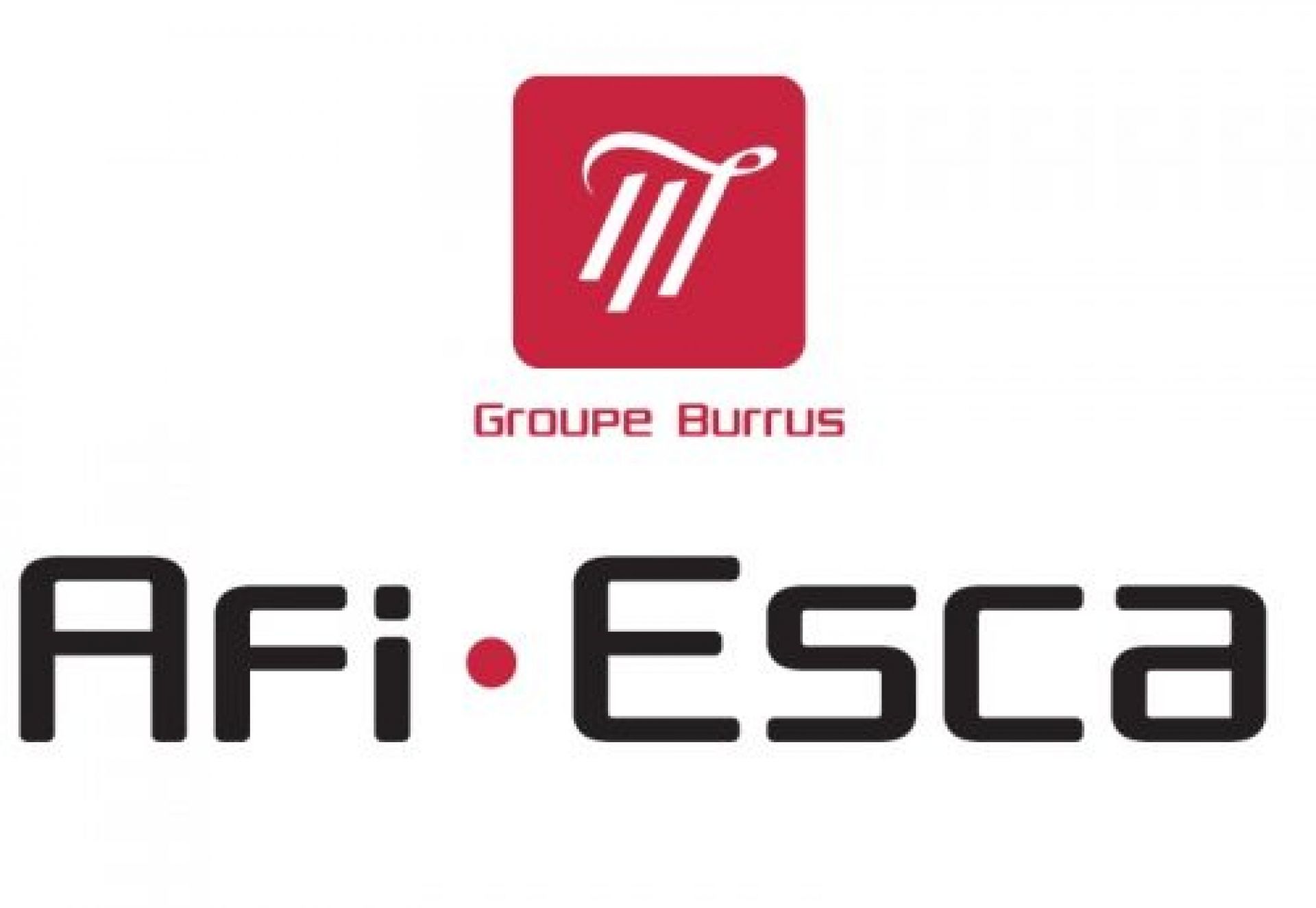 Logo AFI ESCA